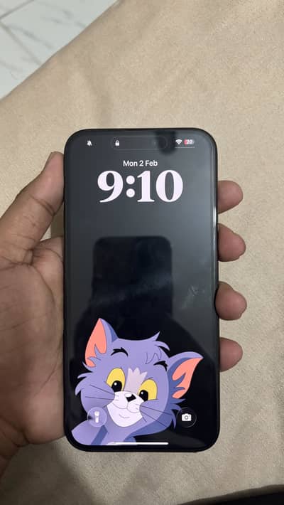 15 Pro Max 256GB JV Black Titanium