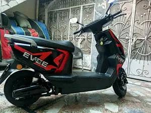 evee Gen Z scotty brand new