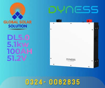 Dyness Pylontech Narada Solax Inverex Soluna Goodwe Lithiumion battery