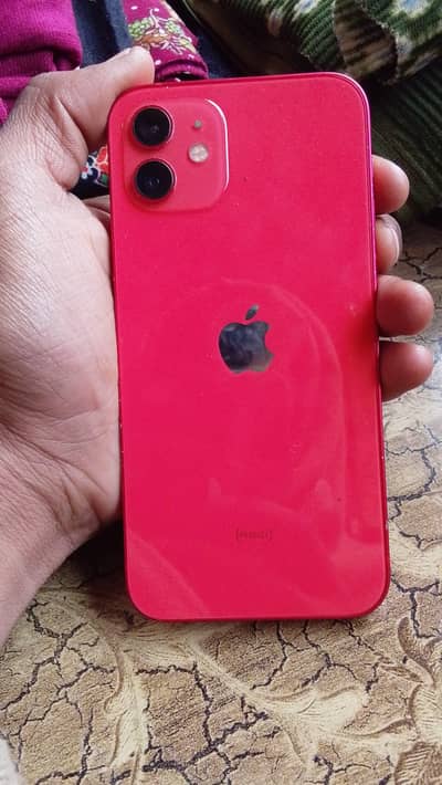 aoa selling iPhone 12 256gb condition 10/9