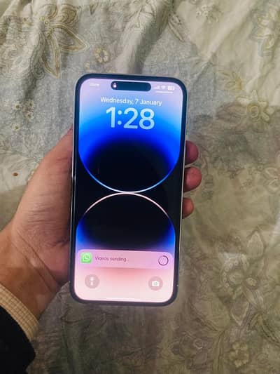 14promax F. U Non pata