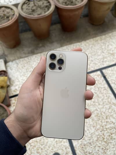 Iphone 12 pro 256 gb pta approved