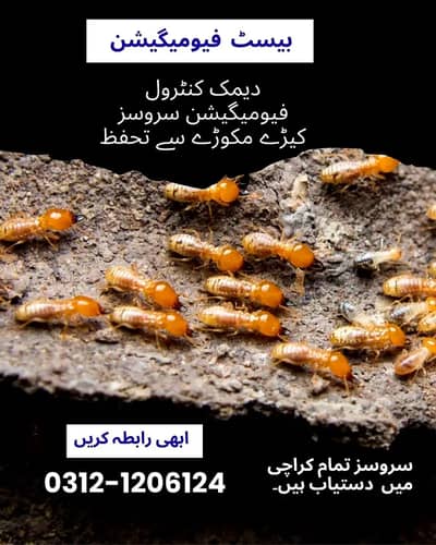 Termite spray, demak control services, Pest control , Fumigation