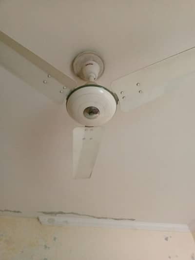Royal Ceiling Fan for Sale