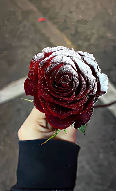 If there is a need for special security or any other work, we will do