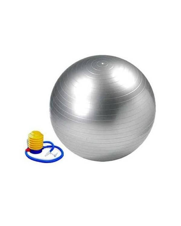 Gym Ball with Pump (Silver) 85 cm
