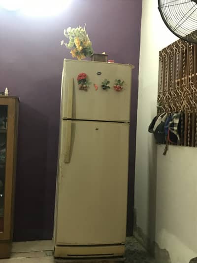 Pel fridge for sell in full size