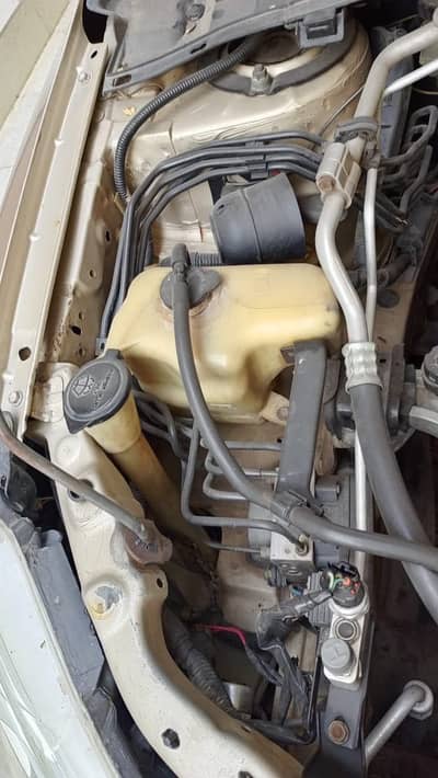 Chat pilar back dor back fandar orignal