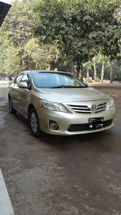 Chat pilar back dor back fandar orignal