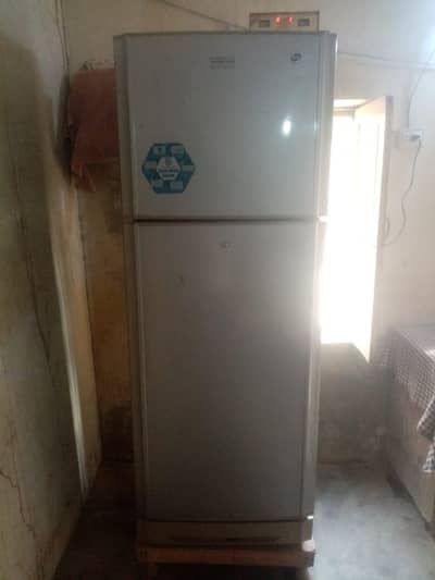 PEL full size fridge