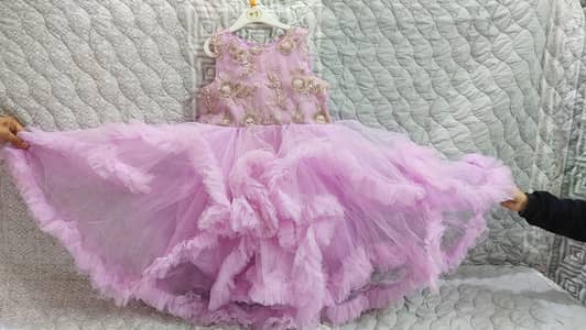 Heavy fril net feock with  embroided peti