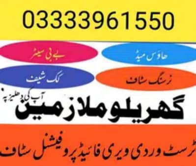 House Maid, Babysitter, Patient Care, Nanny, Nurse, Driver, Chef, Cook