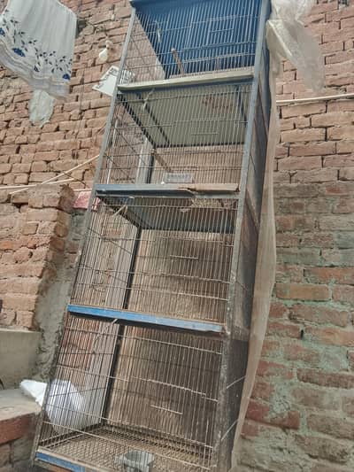 4 postion cage for sale