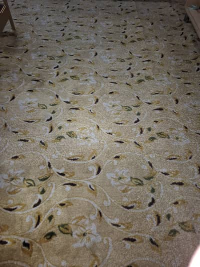ROOM SIZED CARPET