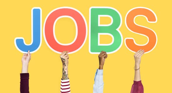 Fresh IT Staff Required Web Designing & Hosting