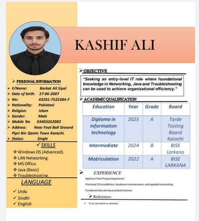 diploma in information technology