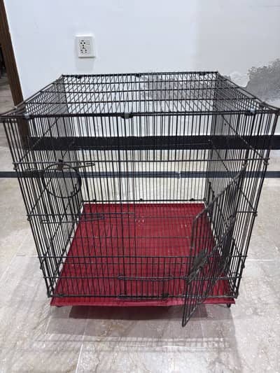 Parrot cage for sale