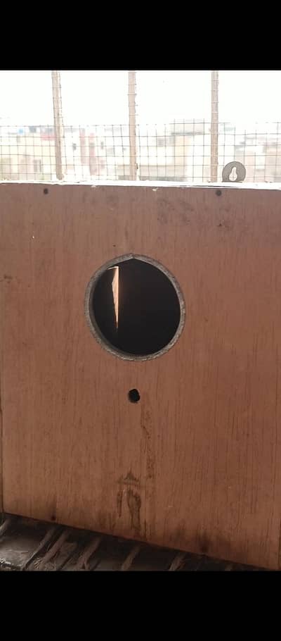 A confirm breeder cockatiel pair with one healthy chick or cage sell