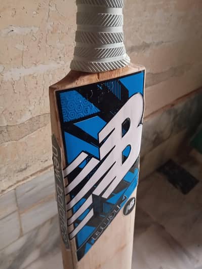 English Willow hard ball bat