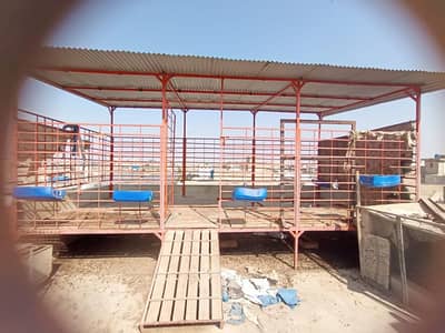 goat & hen setup for sale