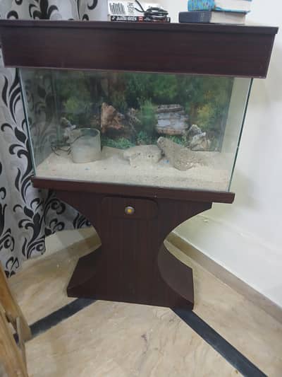 urgent sale aquarium set