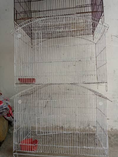 3 cages for sale