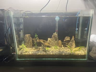 Fish Aquarium , 1.5 feet with fishes and live plants
