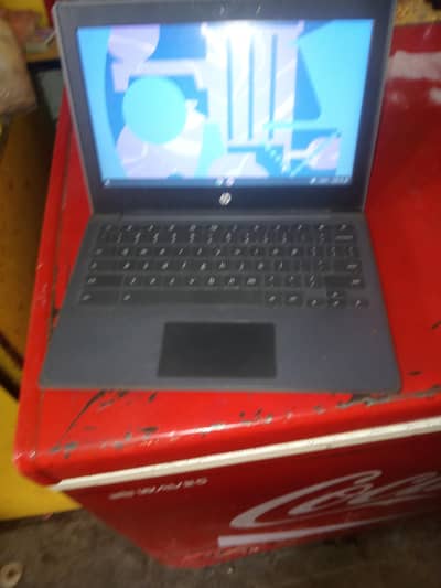 hp Chromebook