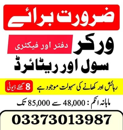 import export Islamabad