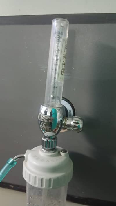 Ladies Care taker for mother