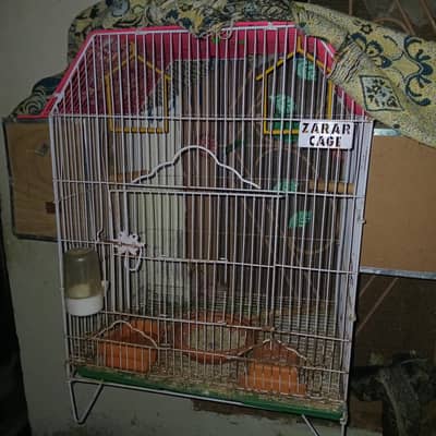 parrot cage