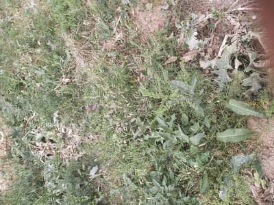 Book A Residential Plot Of 5400 Square Feet In Opf Valley Opf Valley