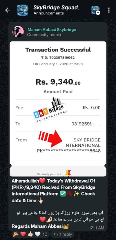 SkyBridge International