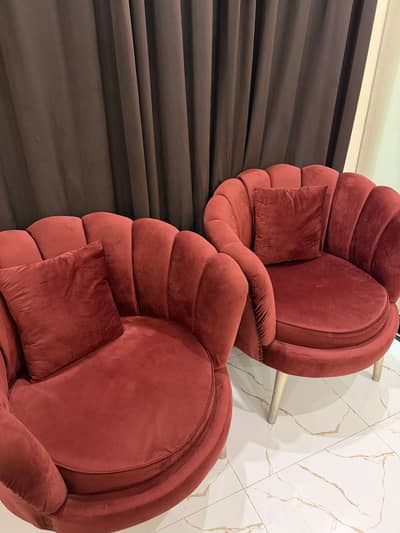 Pair of 2 Coffee chairs