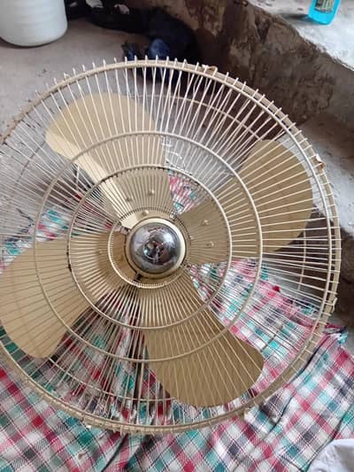 Royal Bracket Fan full size.