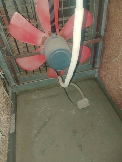 Asia fan . Pasay Kam hou jiy gay