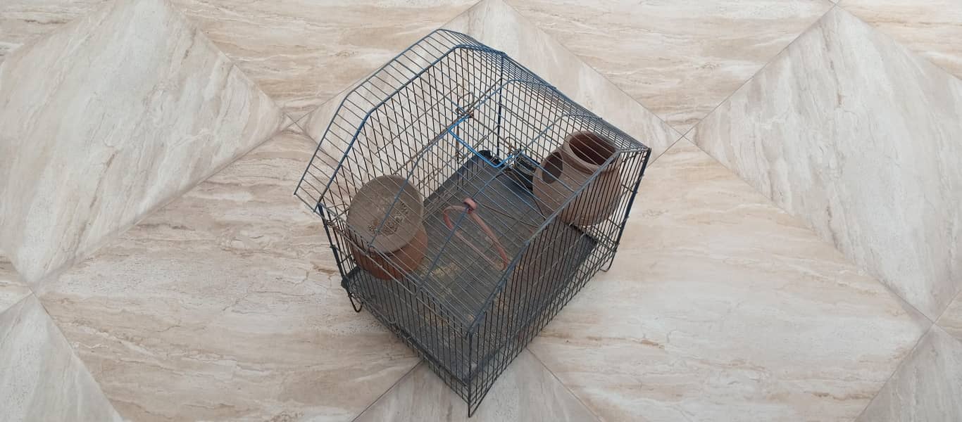 bird cage 0