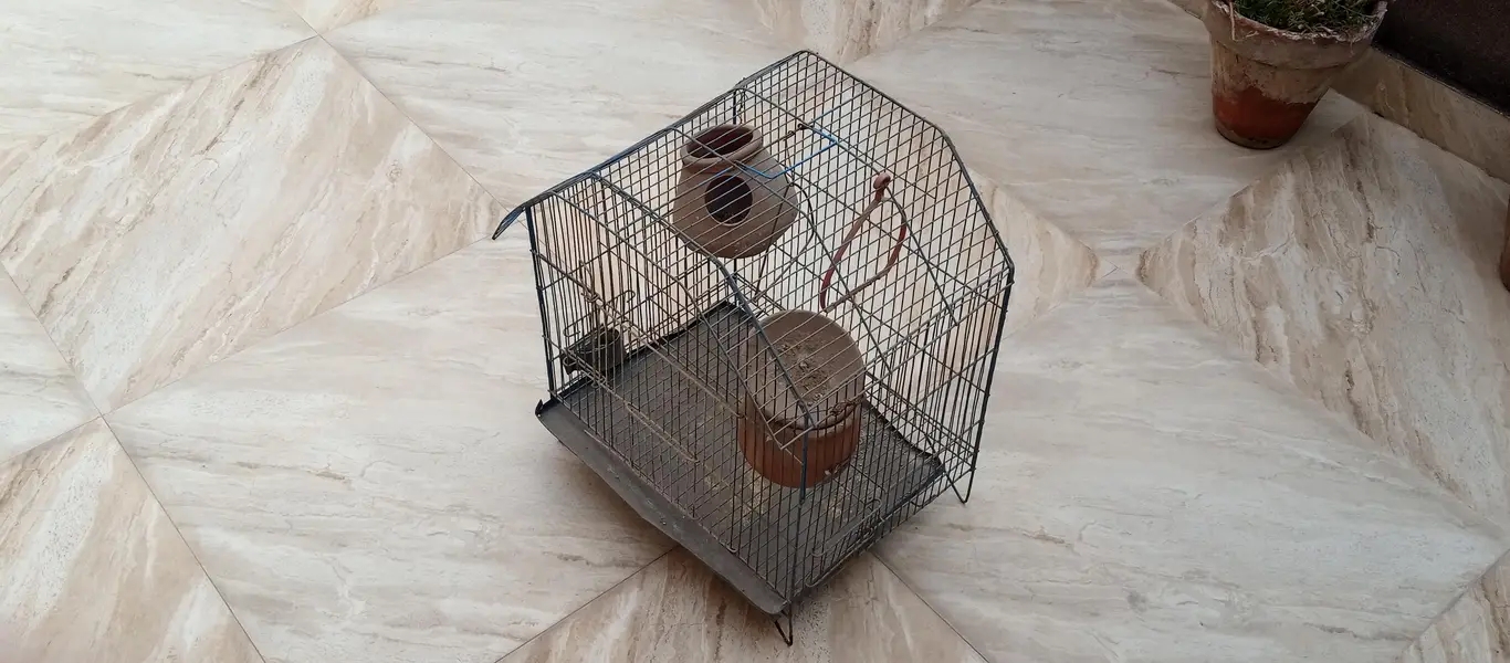 bird cage — photo 2