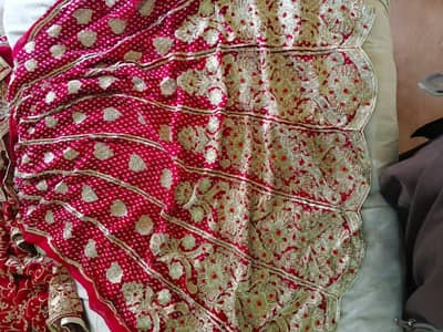 lehnga for bridals