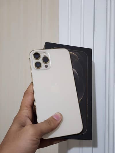 Iphone 12 pro max Dual pta approved