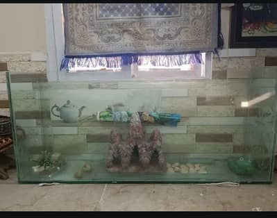 Custom made large size aquarium with thick glass best quality