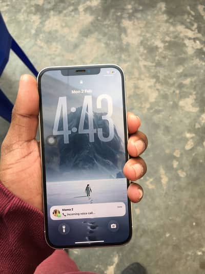 Iphone 12 pro max fu 91 health all ok