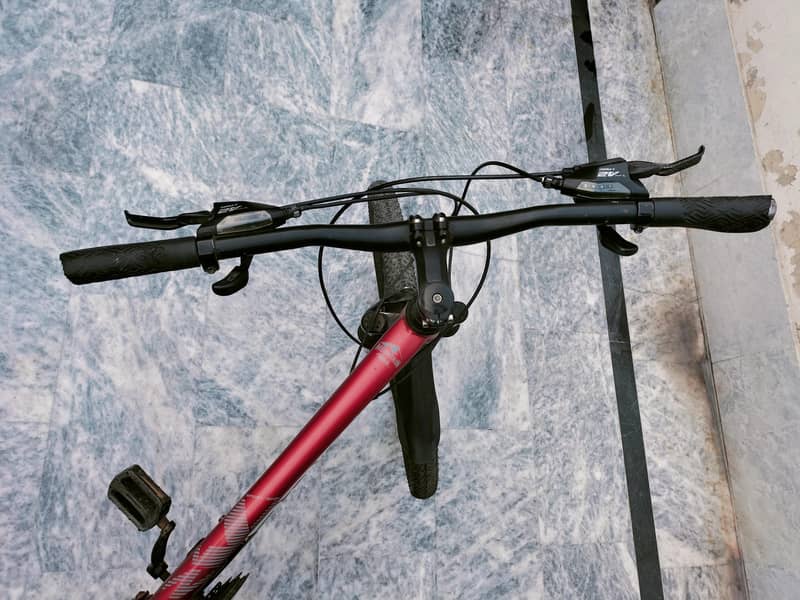Mountain bicycle 2