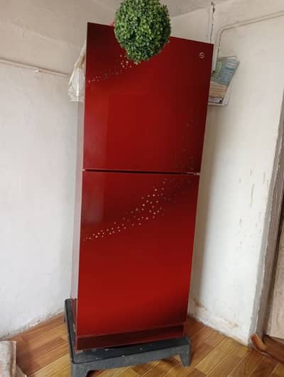 pell glass door refigerator