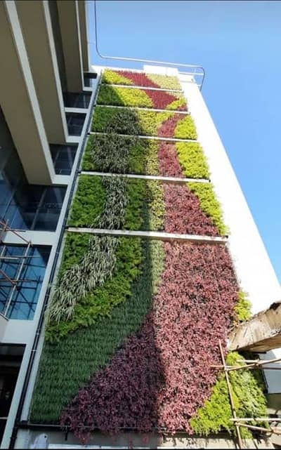 We need female for office work