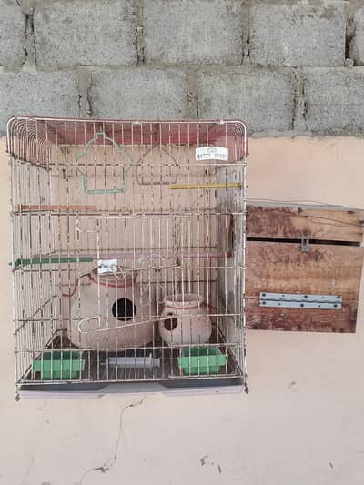 birds cage