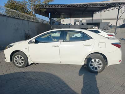 Gli 1.3 2018 Lahore  Registered