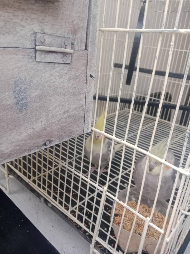 pair 2 3 Time bread 7