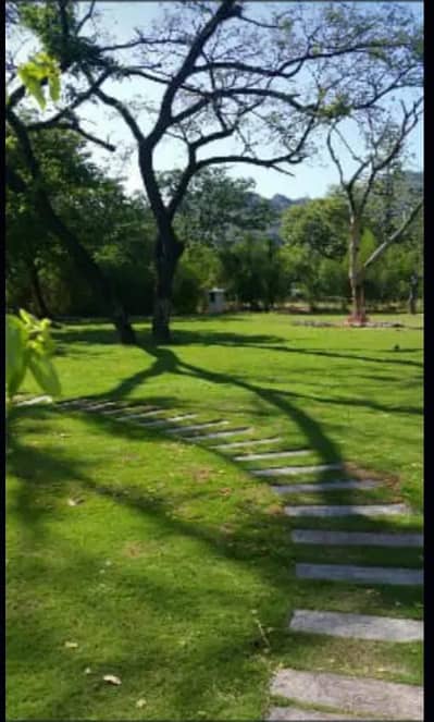 Investor Alert F8 Size 100160 1777 Square Yead Fully Renovated House 6Bedrooms with attached Bathroom Drawing and Dining TV Lounge