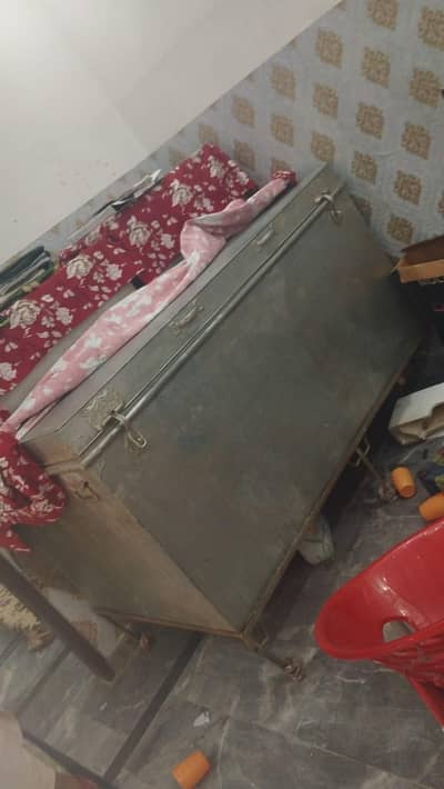 peti for sale contact no(03704704328)